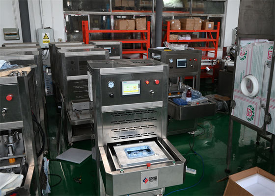 Comprar 10 mm selante térmico médico com temperatura ajustável para embalagens Tyvek fabricação em linha